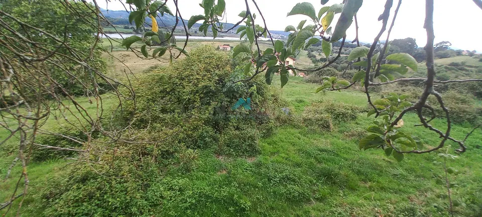 Se vende terreno rústico en Colindres
