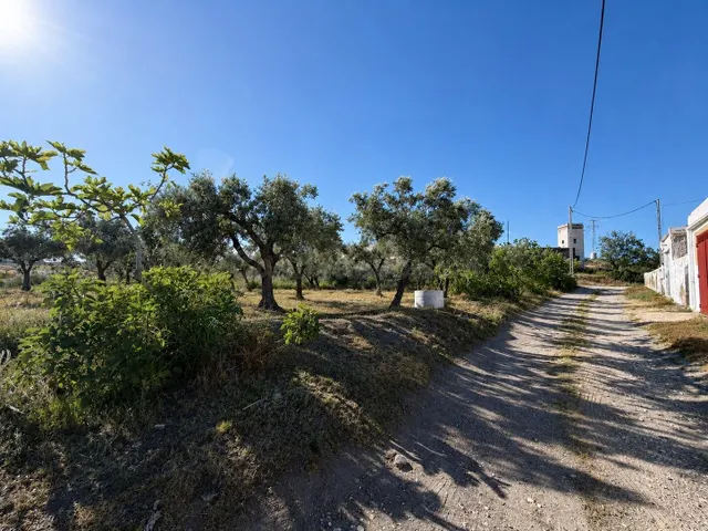 TABERNAS Finca Rústica con Cortijo de 170 m2 const. y 6 Hect - foto 4