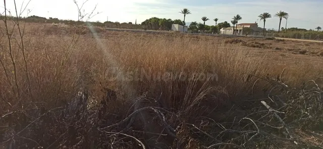 CASA DE CAMPO AUTOCTONA DE ELCHE - foto 5