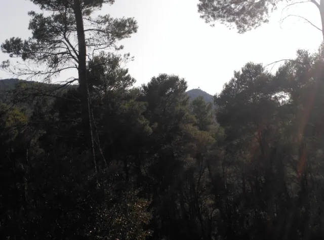 Espectacular terreno que da a dos calles, en Corbera de Llobregat, cerca Hotel Can Fisa. — 7