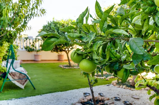Bungalow en planta baja con amplio jardín privado y aparcamiento en Cabo Roig — 22