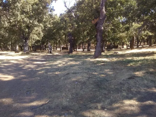Urbis te ofrece una parcela en venta en Lagunilla. — 3