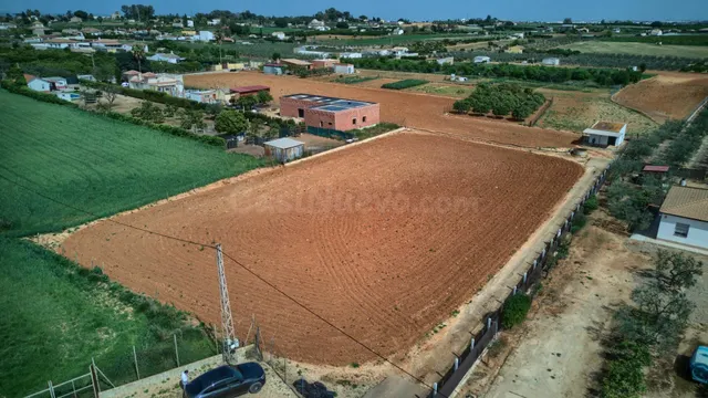 Finca rústica de 8.800 m2 con pozo, luz, construcción y dobl - foto 5