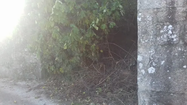 SE VENDE CASA DE PIEDRA PARA REFORMAR EN BUGALLIDO — 8