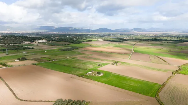 Parcela rústica con proyecto en muro — 6