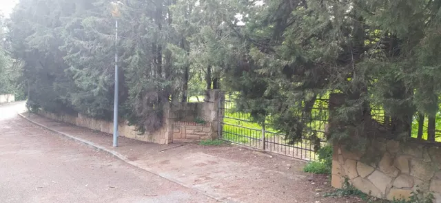 MAGNÍFICA PARCELA URBANA (Edificable). Ctra. de los Morales - foto 5