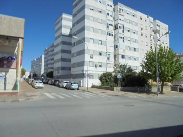 GRAN LOCAL COMERCIAL LOS NARANJOS — 17