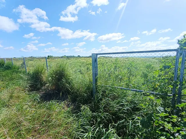 🌱ASOMBROSA PARCELA DE 3353 m2 EN EL MARQUESADO (MIRALAMAR)🌱 - foto 2