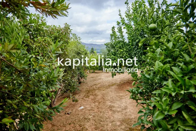 Exclusivo Chalet a la venta en Ontinyent — 26
