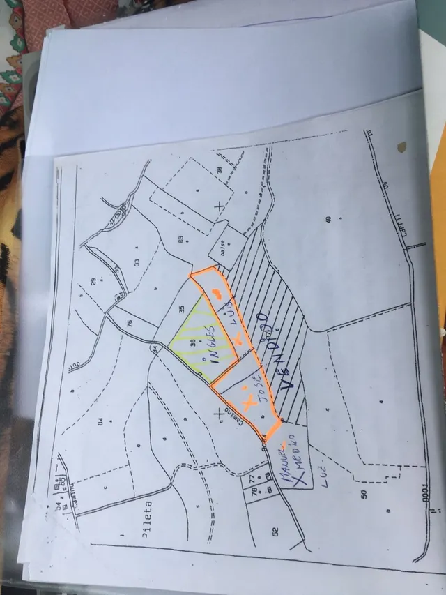 27.500 metros de terreno con plantacion de Uvas o para construir un Chalet — 13