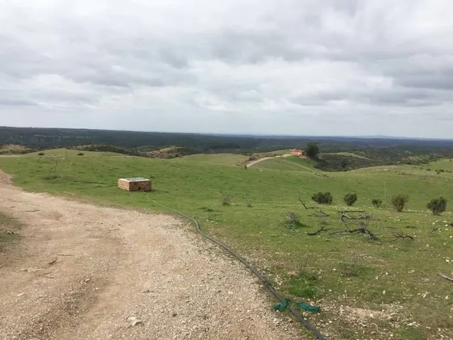 ESPECTACULAR FINCA RÚSTICA 200 HECTÁREAS PARA AGRICOLA, GANADERO, FORESTAL, CAZA EN VALVERDE HUELVA — 3