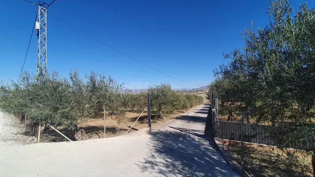 Parcela en venta - Costa del Sol - foto 2
