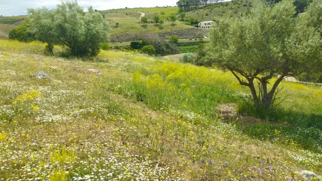 Terreno urbano en venta - Fuentelencina — 23