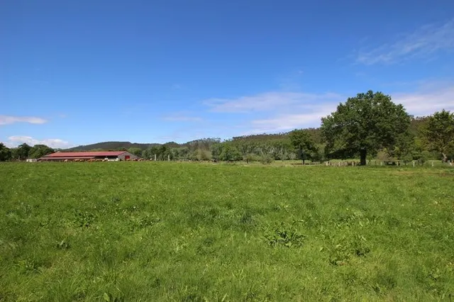 Terreno urbanizable en venta - Villanueva de la peña - foto 5