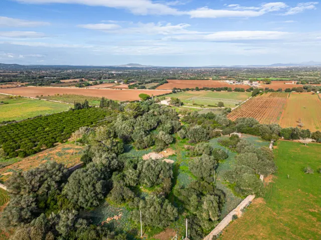 Magnifica finca rústica en la zona de Porreres. — 15