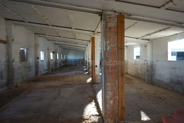 Local comercial 975m² en alquiler - Comunidad valenciana - foto 2