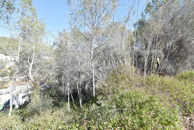 TERRENO EN MAS ALBA — 12