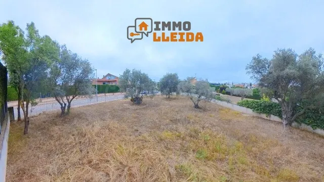 ¡Haz realidad la casa de tus sueños en Cervera! - foto 5