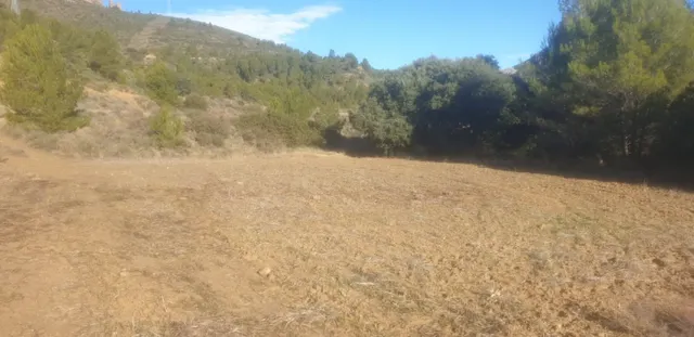 TERRENO OPTIMO PARA CAMPING — 12