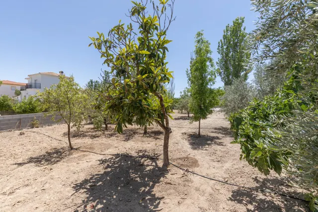 Terreno urbano en la aldea de los Bermejales, termino de Arenas del Rey — 20