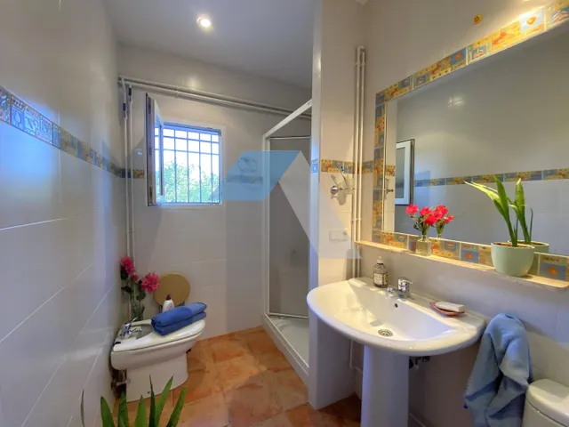 Chalet independiente con piscina en gran parcela rústica, rodeado de pinos y olivos – A menos de 1 km del Polideportivo Municipal de San Vicente del Raspeig — 18