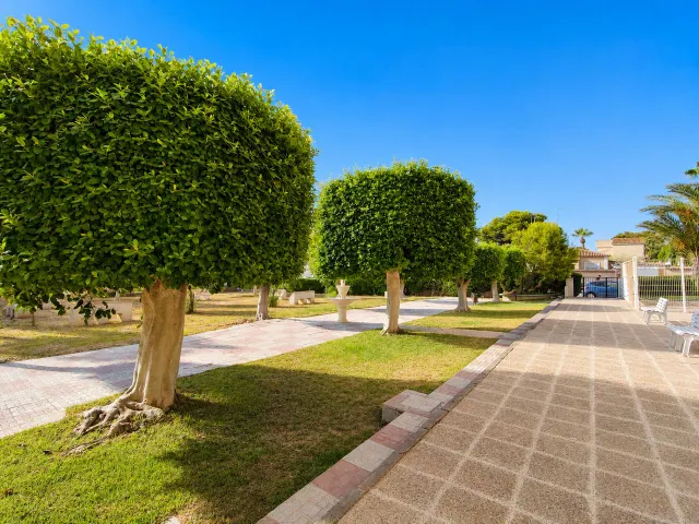 Ático 1 habitación 60m² en venta - La Zenia — 21