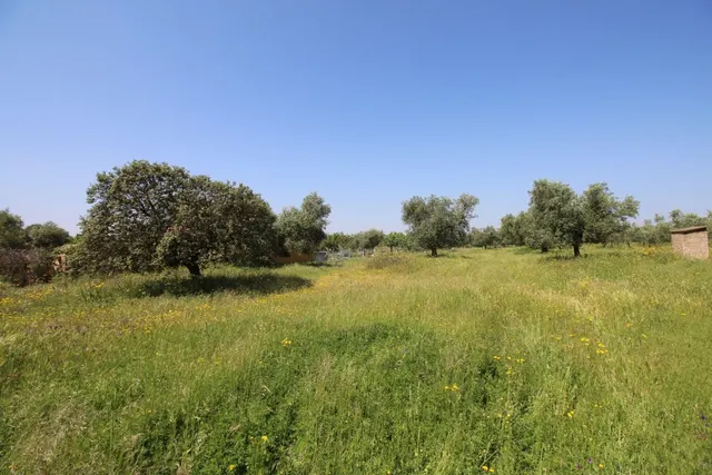 Terreno rural en venta - Alrededores — 7