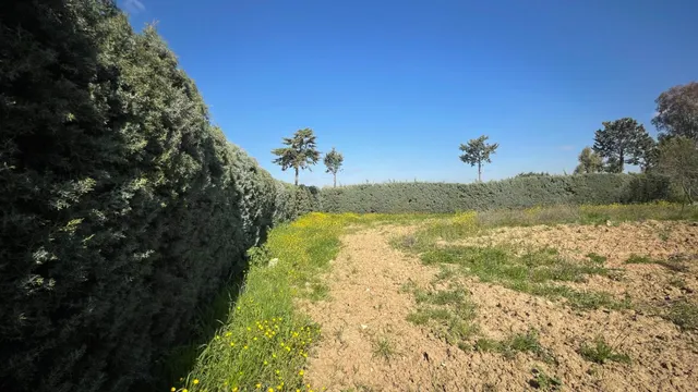 Terreno rural 10m² en alquiler - San Nicasio — 20