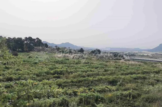 Parcela en Venta en Romana, La Alicante - foto 4