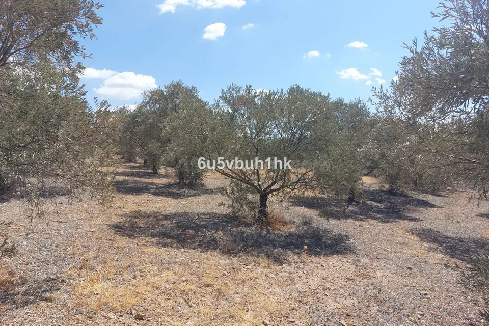 Parcela en venta - Alora pueblo