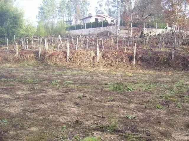 REF 0769 SOLAR   PLANOS 1625 m2 XINZO-PONTEAREAS — 4