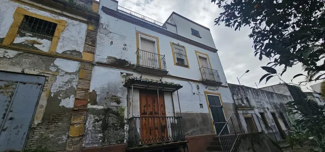 ¡TU PROYECTO EN LA ALGABA — 6