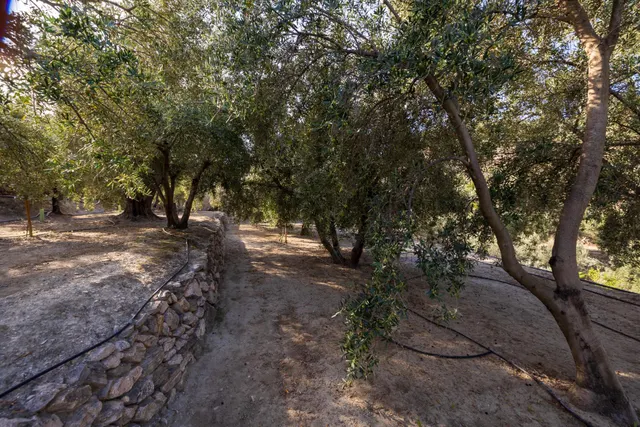 Finca rústica en venta en Pinos del Valle (Valle de Lecrín) — 39