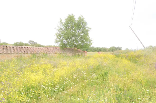 Urbis te ofrece una casa con terreno en venta en Doñinos de Salamanca, Salamanca. — 20