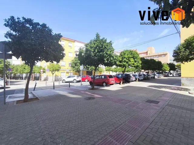 PLANTA BAJA PARA ENTRAR A VIVIR EN PIO XII — 22