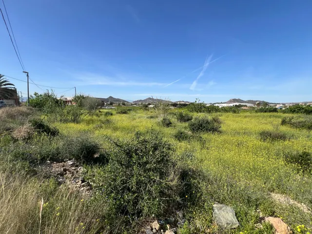 Terreno rural 4 habitaciones en venta - Cobatillas — 5