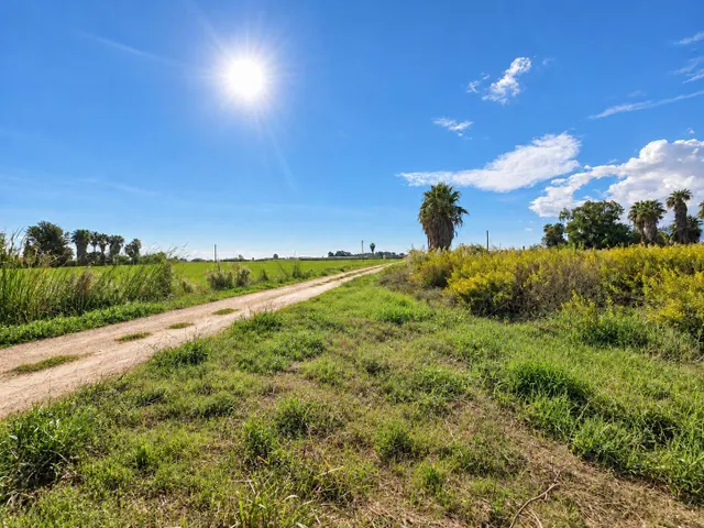 Finca rústica de 6.705 m2 en la zona de els ullals de baltasar, Amposta — 15