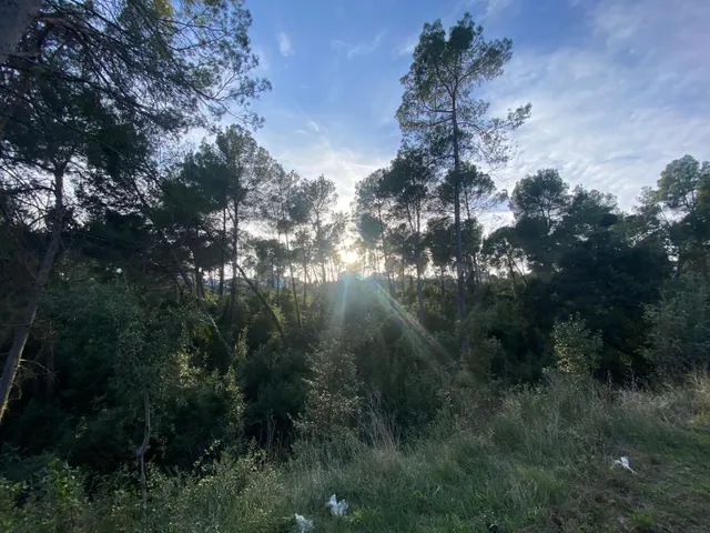 TERRENO CON INFINITAS POSIBILIDADES UBICADO EN RUBÍ — 4