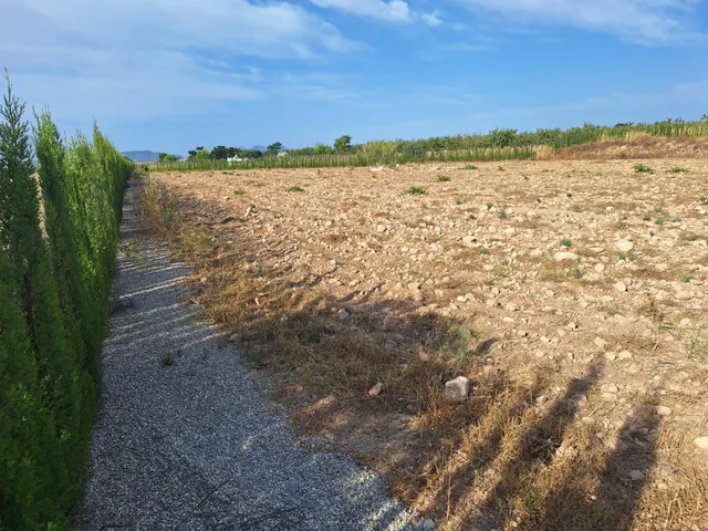 ¡Parcela edificable de 16964 m2, vallada, con agua de riego y muy buen acceso, a solo 5 minutos de Pinoso! — 9