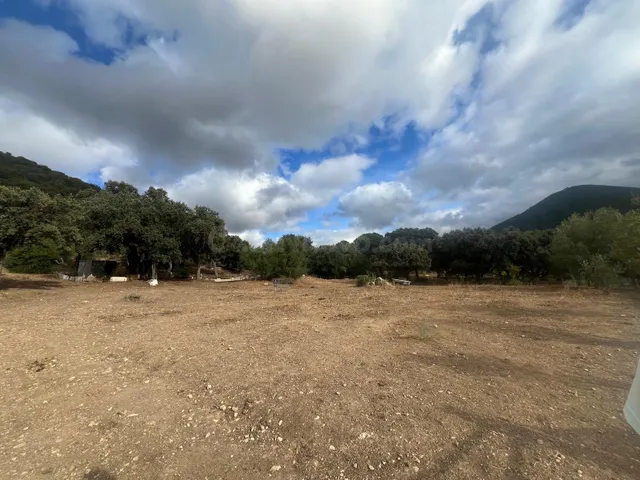 Terreno Rural en El Bosque 🌳✨ - foto 2