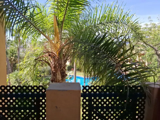 Apartamento 3 habitaciones 138m² en venta - Paraiso-Barronal - foto 3