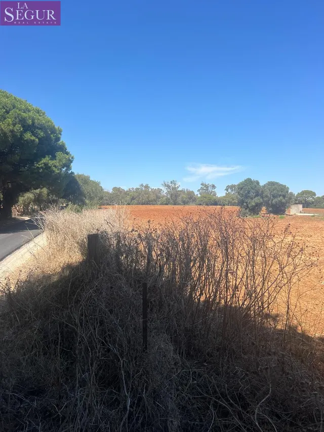 MAGNIFICA PARCELA EN LA MUELA — 8