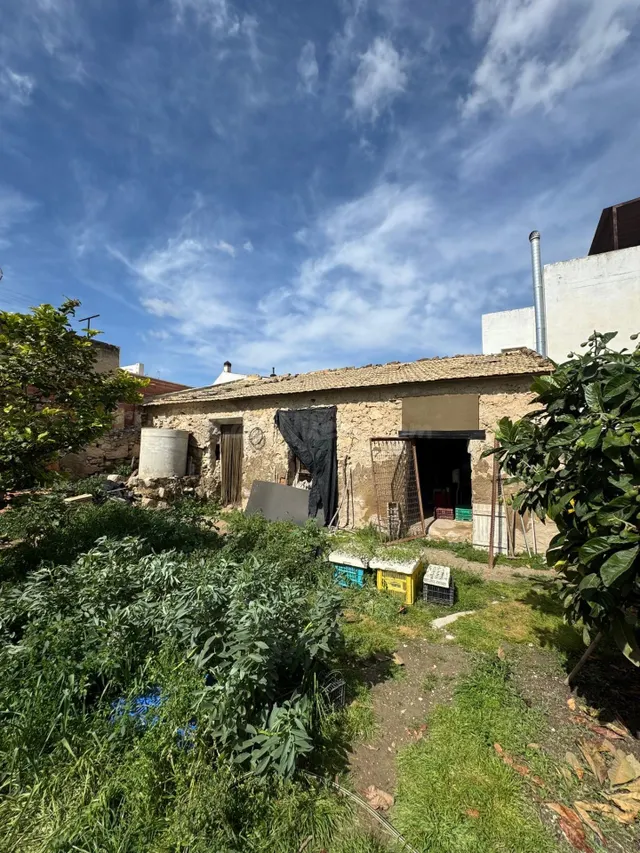 SOLAR URBANO EN VENTA EN JACARILLA - ZONA JACARILLA - - foto 4