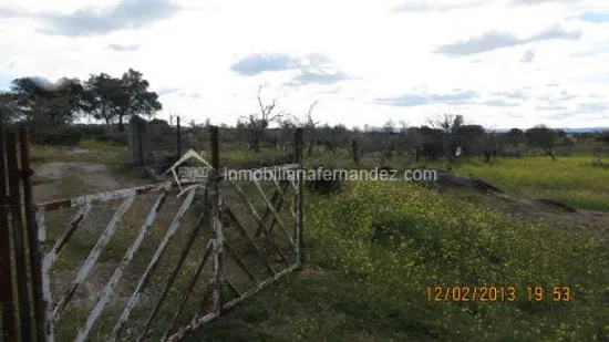 Se vende Parcela de 8.200 m2 vallado, en Arroyo de la Luz — 11