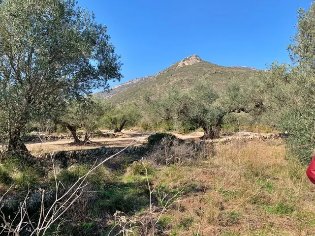 Finca rústica 15m² en venta - Roquetes — 12