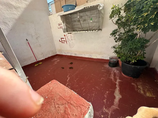 Piso Planta Baja en el Centro — 16