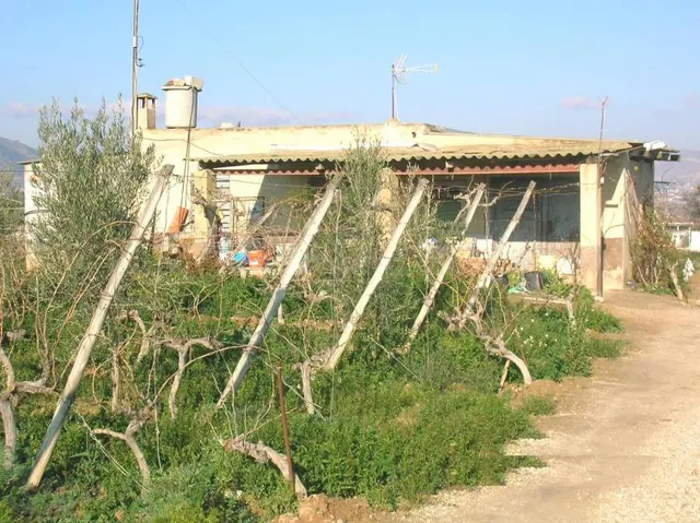 SE VENDE CASA DE CAMPO EN ASPE