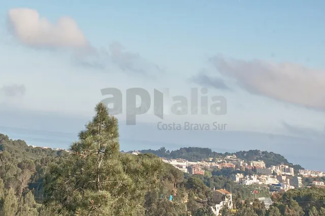 Villa con 2.000 m2 de parcela, privacidad total y gran poten - foto 5