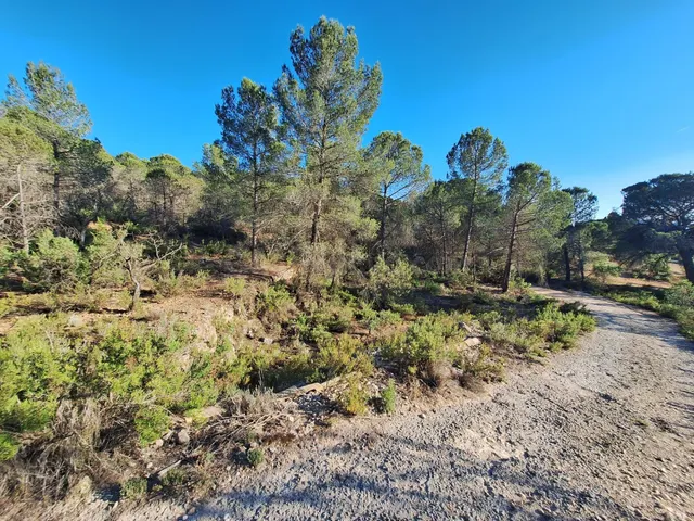 Finca rústica, georreferenciada catastralmente, de 22.641 m2 - foto 3
