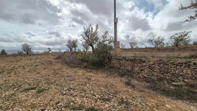 Fantástico terreno edificable con vistas a la sierra Salinas - foto 5